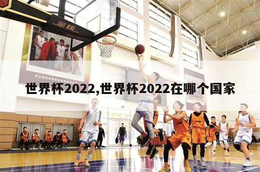 世界杯2022,世界杯2022在哪个国家