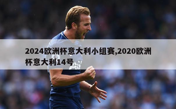 2024欧洲杯意大利小组赛,2020欧洲杯意大利14号