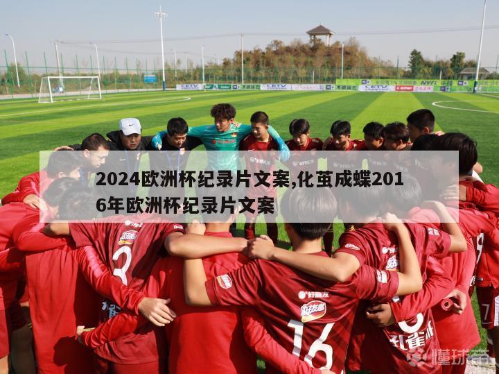 2024欧洲杯纪录片文案,化茧成蝶2016年欧洲杯纪录片文案