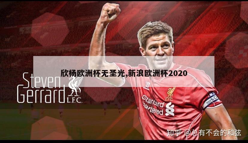 欣杨欧洲杯无圣光,新浪欧洲杯2020