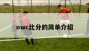 owc比分的简单介绍