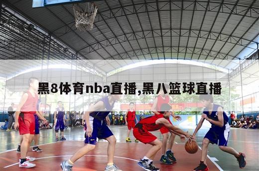 黑8体育nba直播,黑八篮球直播