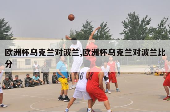 欧洲杯乌克兰对波兰,欧洲杯乌克兰对波兰比分