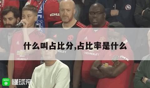 什么叫占比分,占比率是什么