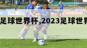 2023足球世界杯,2023足球世界杯爆冷