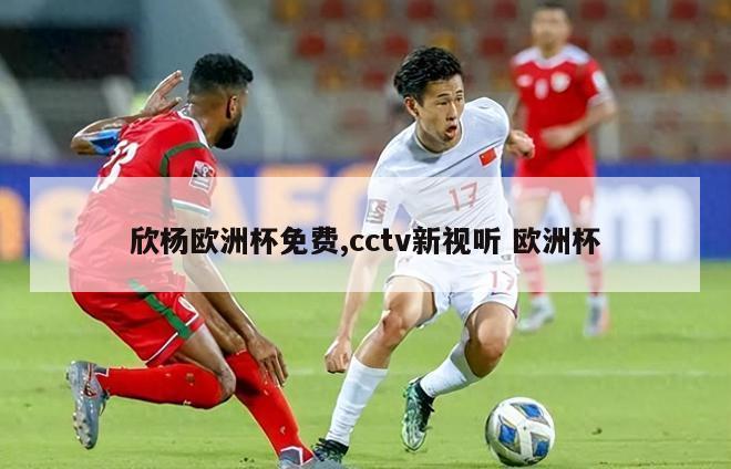 欣杨欧洲杯免费,cctv新视听 欧洲杯