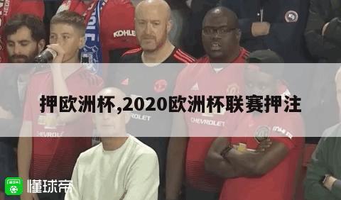 押欧洲杯,2020欧洲杯联赛押注