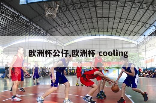 欧洲杯公仔,欧洲杯 cooling