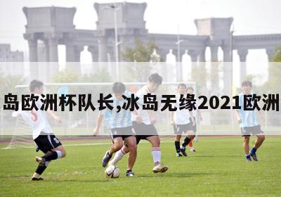 冰岛欧洲杯队长,冰岛无缘2021欧洲杯