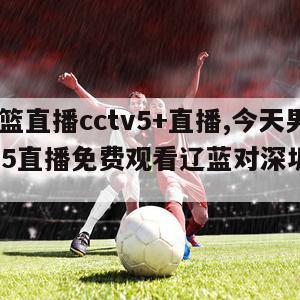 今天男篮直播cctv5+直播,今天男篮直播cctv5直播免费观看辽蓝对深圳直播cba