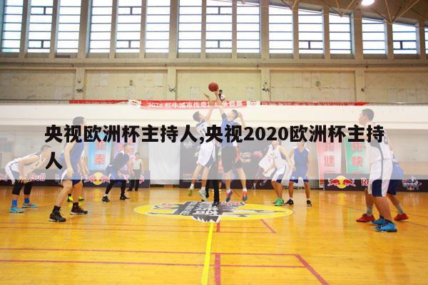 央视欧洲杯主持人,央视2020欧洲杯主持人