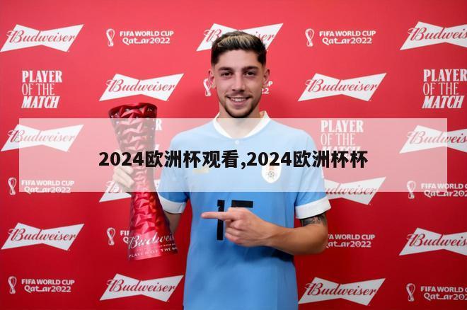 2024欧洲杯观看,2024欧洲杯杯