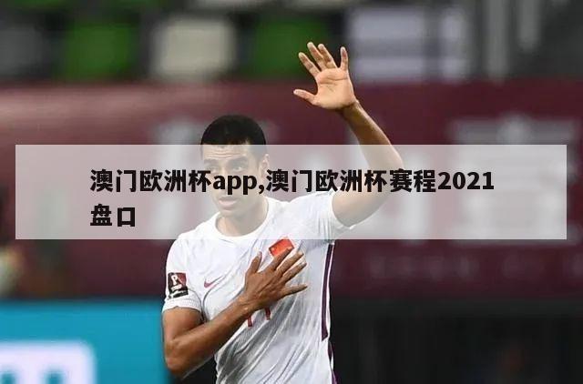 澳门欧洲杯app,澳门欧洲杯赛程2021盘口