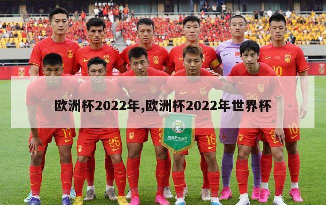 欧洲杯2022年,欧洲杯2022年世界杯